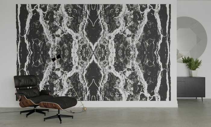 Photo murale intissé impression numérique Oak Bark black-white