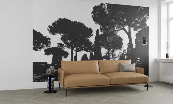 Photo murale intissé impression numérique Pine Trees black-white