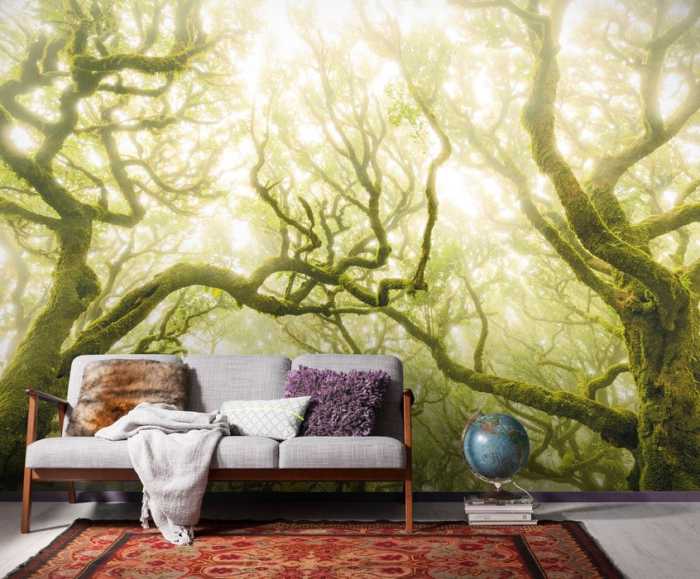 Intissé Premium Green Fire