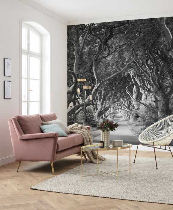 Intissé Standard Forevenue