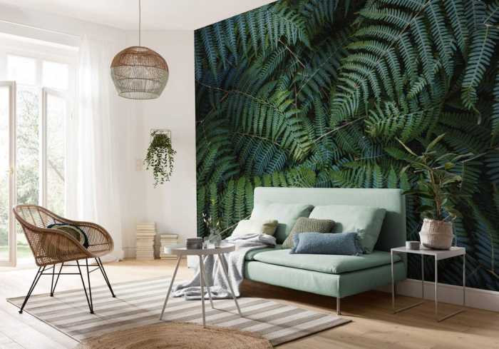 Intissé Standard Fern Canopy