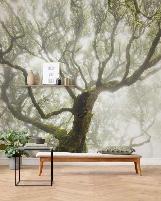 Intissé Standard Pristine V