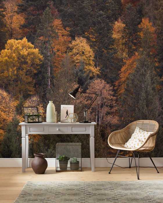 Intissé Standard Warm Tones