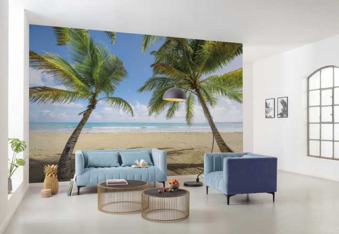 Intissé Standard Caribbean Days II