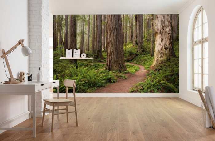 Intissé Standard Redwood Trail