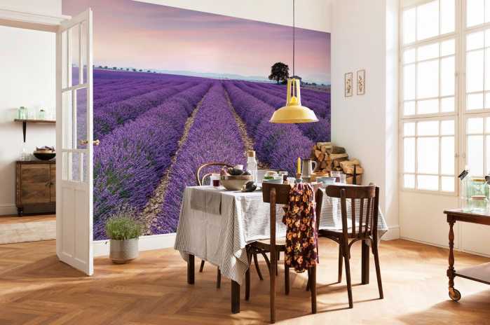 Intissé Standard Provence