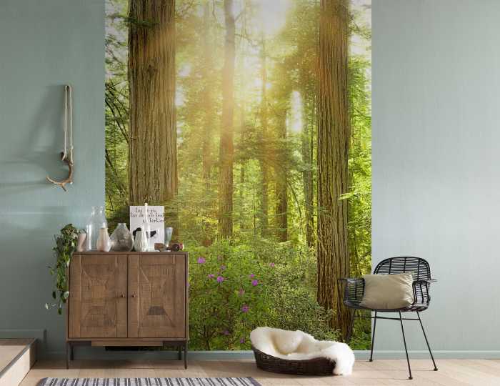 Poster XXL impression numérique Redwood