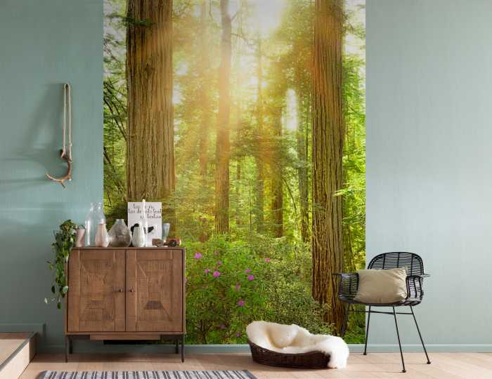 Photo murale intissé impression numérique Redwood