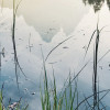 Morning Mist