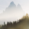 Morning Mist