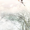 Fable