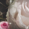 Eternity