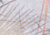 Tropical Concrete