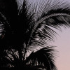 Hawaii