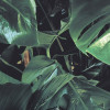 Verdure