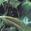 Verdure
