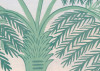 Jungara