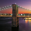 New York City Lights