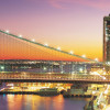 New York City Lights