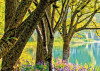 Spring Lake