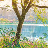 Spring Lake