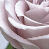 Floraison