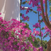 Amalfi