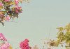 Rose Garden