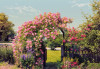 Rose Garden