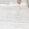 White Horses