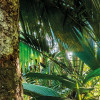Jungle Trail
