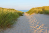 Sandy Path