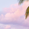 Paradise Morning