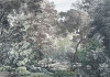 Wood Wide Web