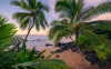 Hawaiian Dreams 