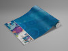 Dory Aqua Party