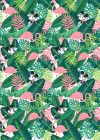 Minnie Tropical