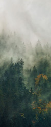 Tales of the Carpathians