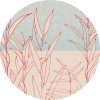 Grassland