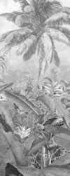 Amazonia Black & White