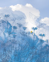 Blue Sky