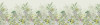 Hortus