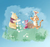 Winnie the Pooh Picnic
