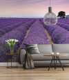 Provence