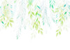 Summer Leaves