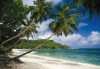 Tropical Sea