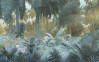 Misty Jungle