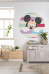 DOT Mickey Peek-a-boo