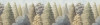 Painted Woods
