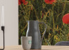 Poppy World I